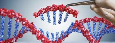 DNA חלבון ומה שביניהם, ביולוגיה חטיבה עליונה