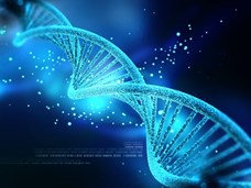 תורת האבולוציה על רגל אחת 4 - ראיות גנטיות