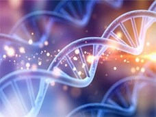 DNA ו-RNA