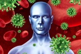 חיידקים ונגיפים בגוף האדם