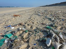 זיהום חופי הים
